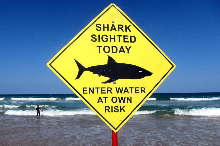 38-Year-Old Spearfisher Killed by Great White Shark at Rottnest Island in Australia’s Second Fatal Attack of 2026
